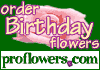 Any Occasion